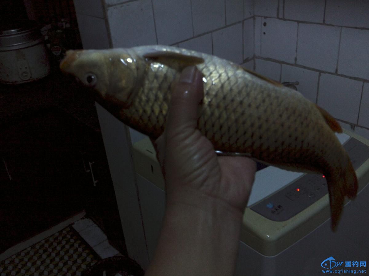 Camera_20140426_212116.jpg