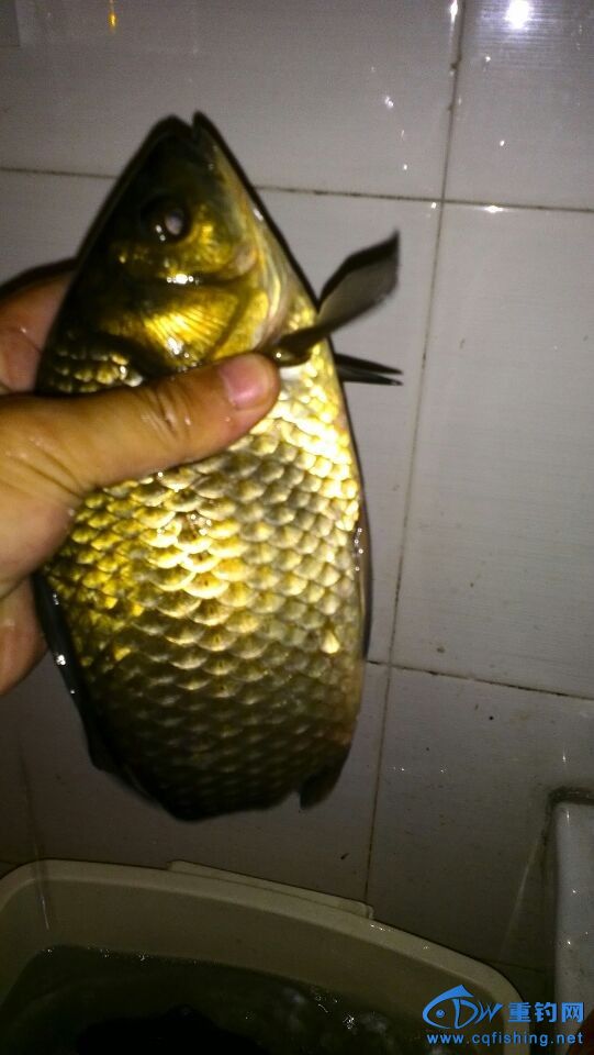 QQͼƬ20140429200312.jpg