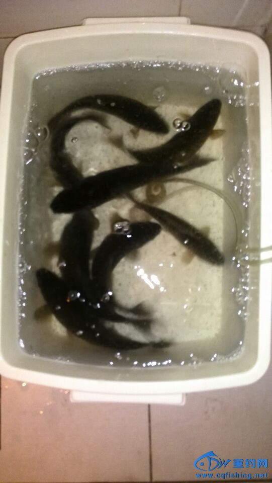 QQͼƬ20140429200404.jpg