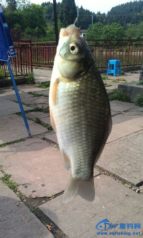 QQͼƬ20140429200441_.jpg
