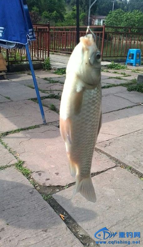 QQͼƬ20140429200447_.jpg