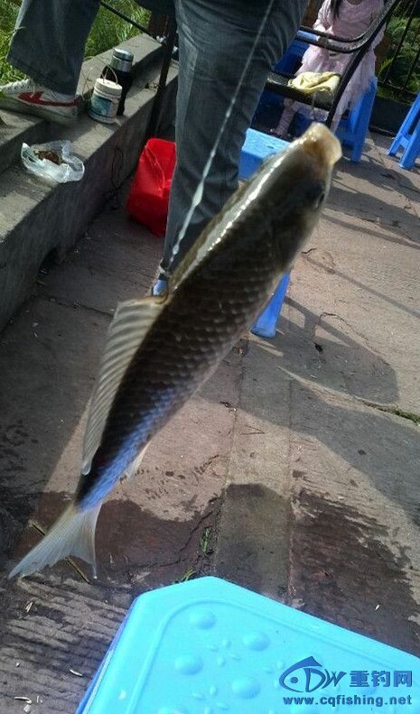 QQͼƬ20140429200500_.jpg