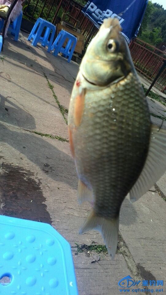 QQͼƬ20140429200506.jpg