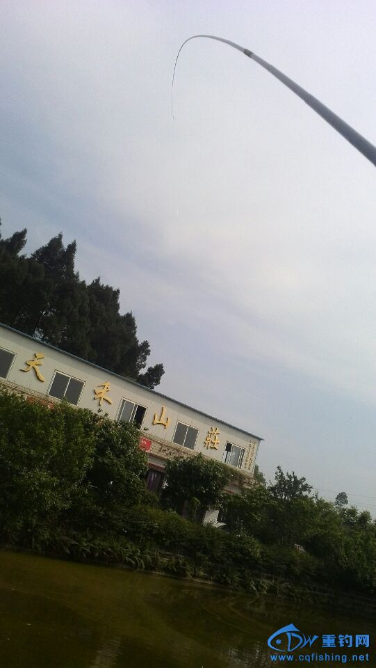 QQͼƬ20140429200512.jpg