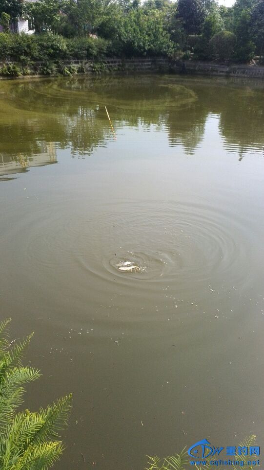 QQͼƬ20140429200547.jpg