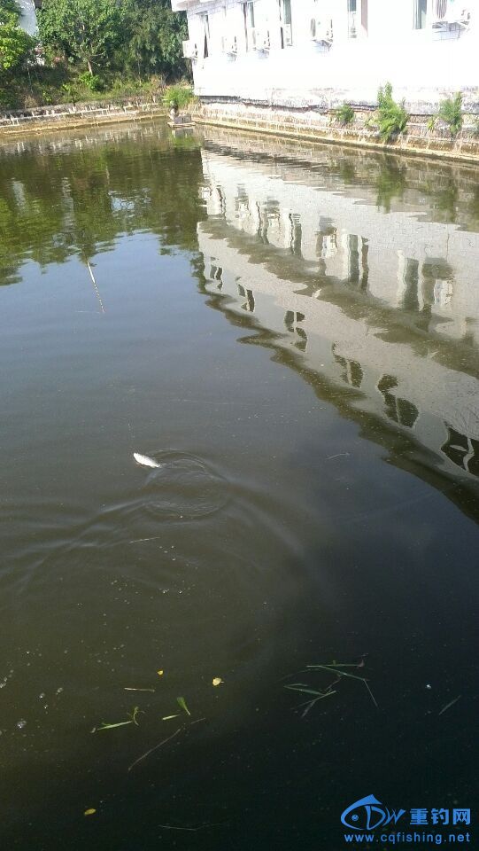 QQͼƬ20140429200551.jpg