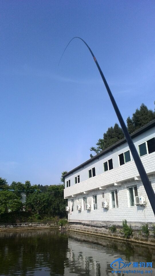 QQͼƬ20140429200556.jpg