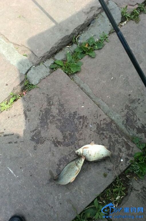 QQͼƬ20140429200649_.jpg