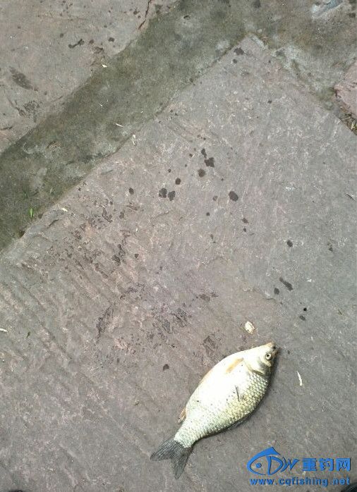 QQͼƬ20140429200653_.jpg