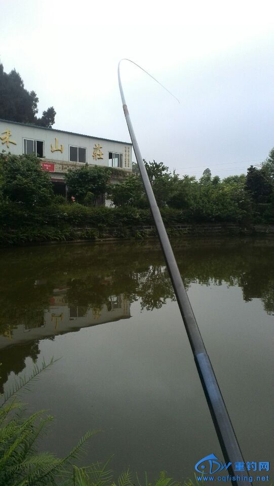 QQͼƬ20140429200715.jpg