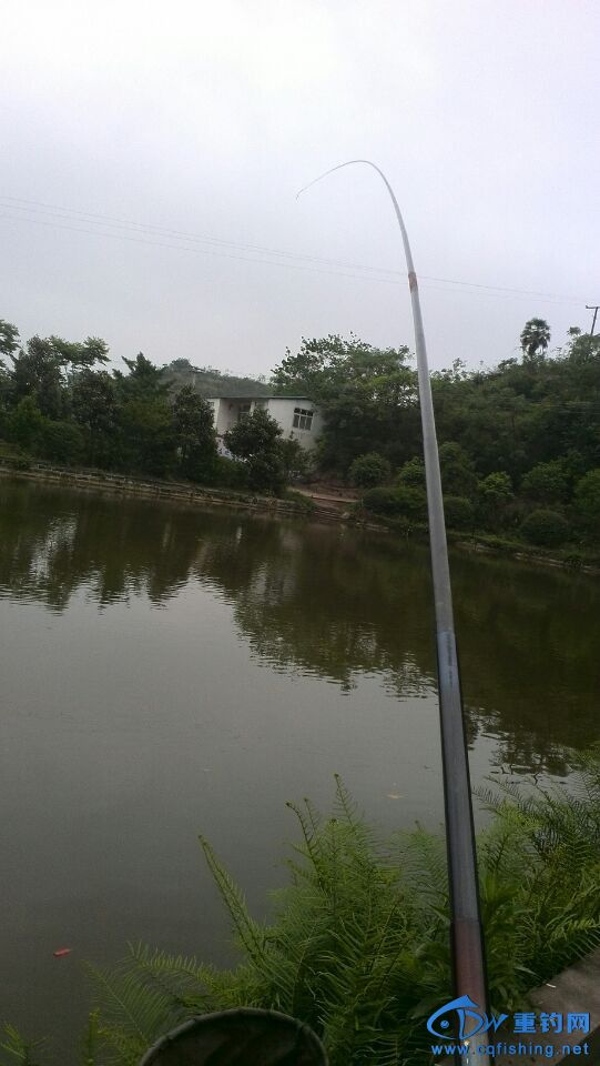 QQͼƬ20140429200719.jpg