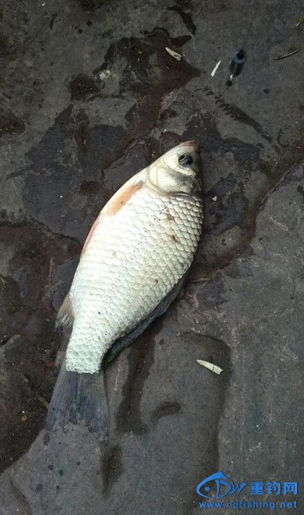 QQͼƬ20140429200736_.jpg