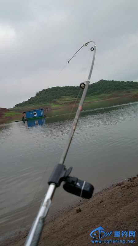 2013-04-06-0600.jpg