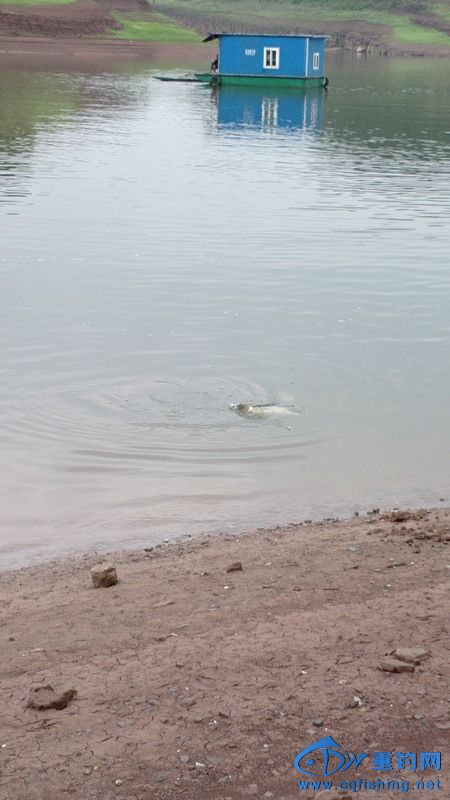 2013-04-06-0605.jpg