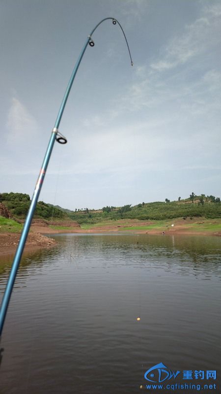 2013-04-06-0655.jpg