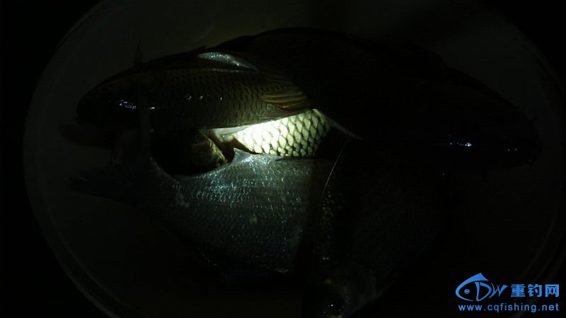 2013-04-06-0675.jpg