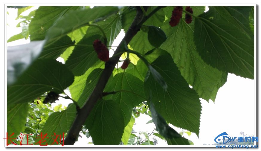 20180629_102114.jpg