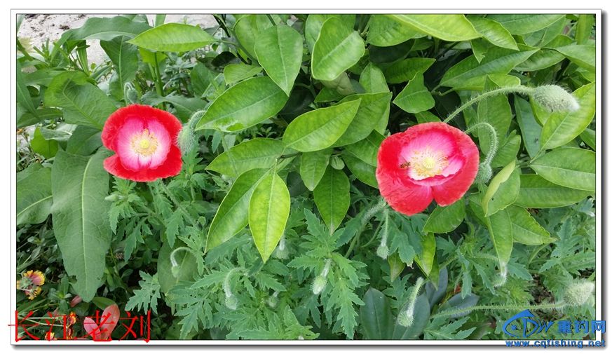 20180629_102300.jpg