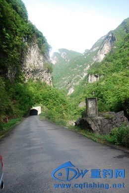 DSC_7630A.jpg