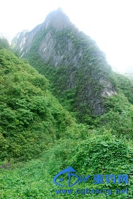 DSC_7635A.jpg