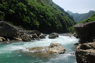 DSC_7655A.jpg