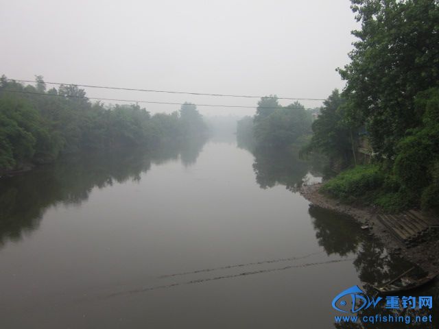 IMG_9470.jpg