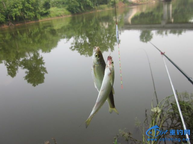IMG_9513.jpg