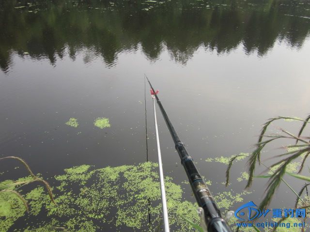 IMG_9546.jpg