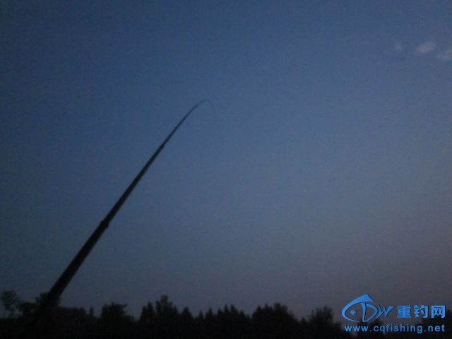 IMG_9585.jpg
