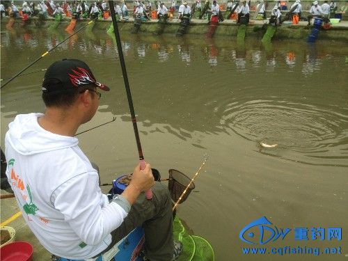 IMG_1794_.jpg