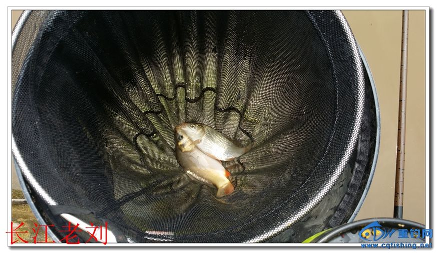 20180706_113444.jpg
