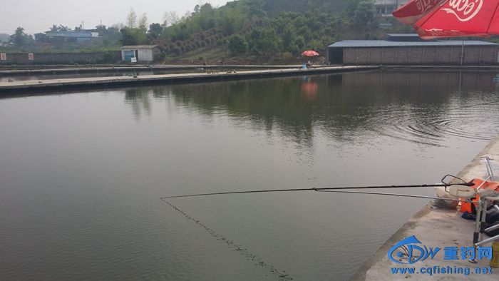 20140519_153122.jpg