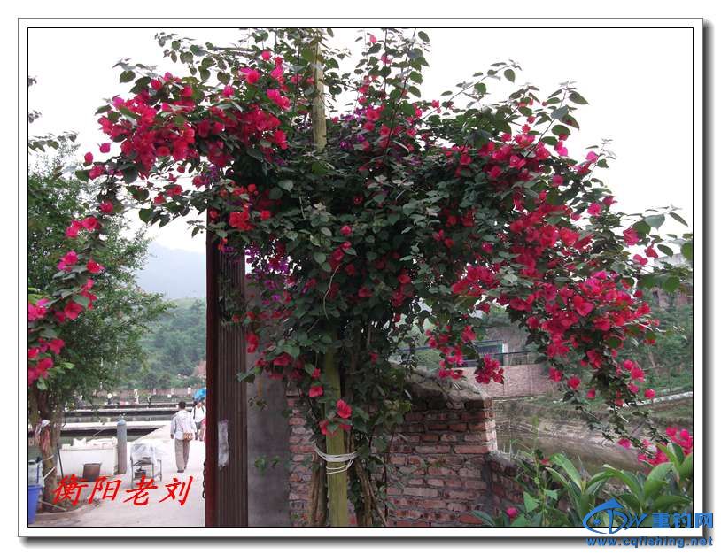 DSCF4072.jpg