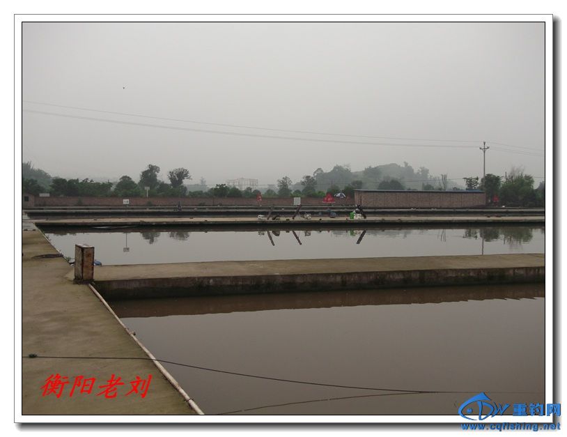 DSCF4006.jpg