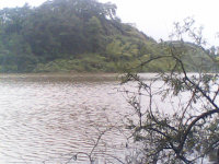psb (14).jpg