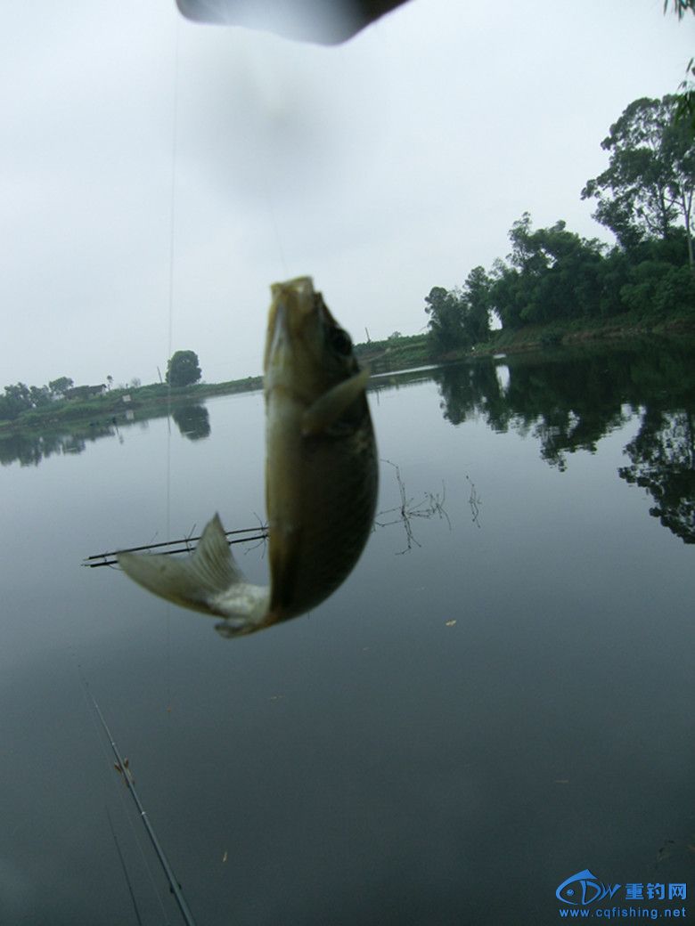GEDC0149_.jpg