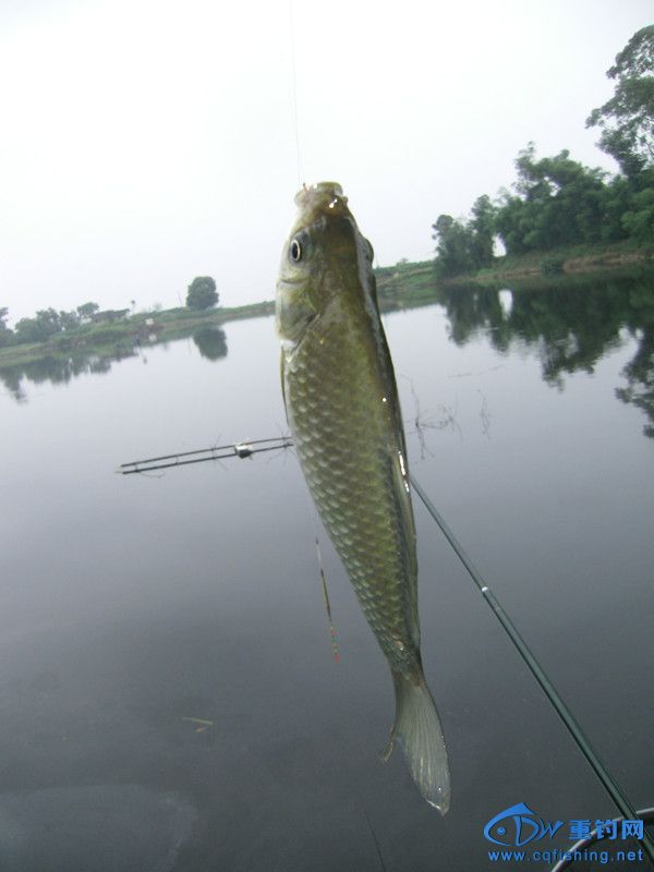 GEDC0159_.jpg