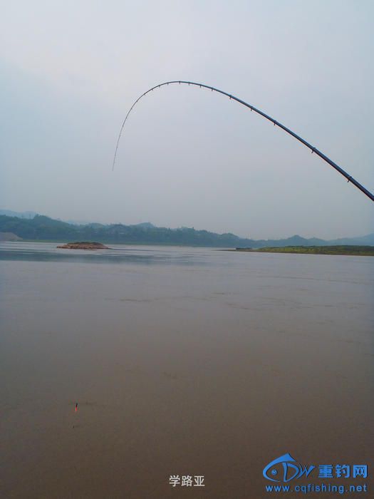 P4130261.JPG