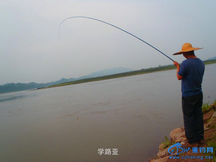P4130265.JPG