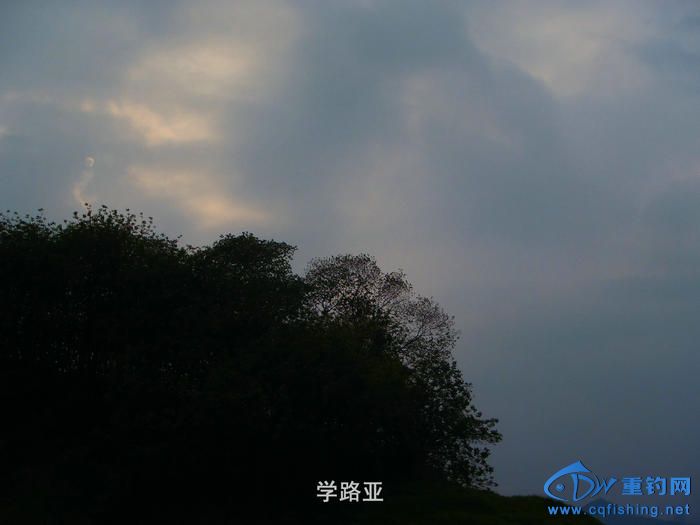 P4130326.JPG