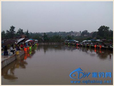 IMG_20140525_090824_.jpg