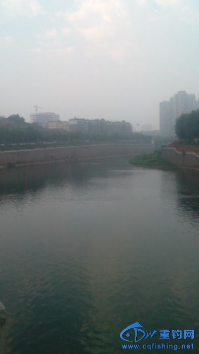 004546hpq0mn0etcc5tgzm.jpg