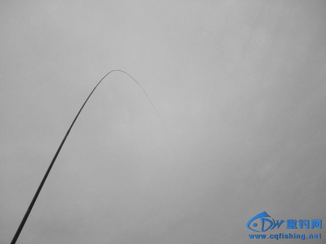 P1010072.JPG