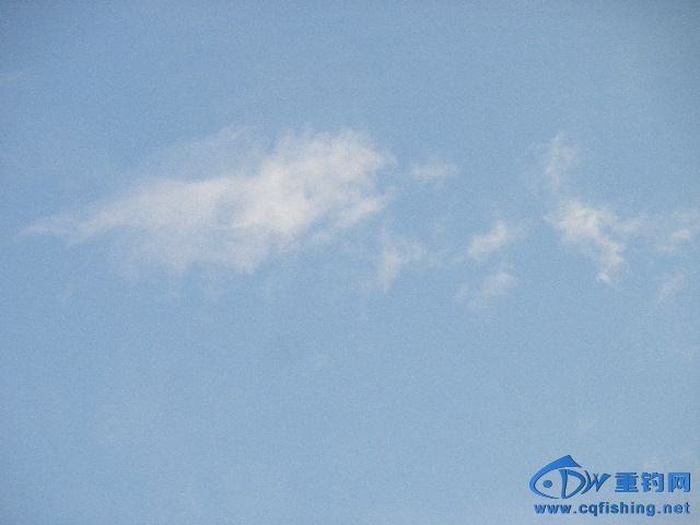 P1010095.JPG