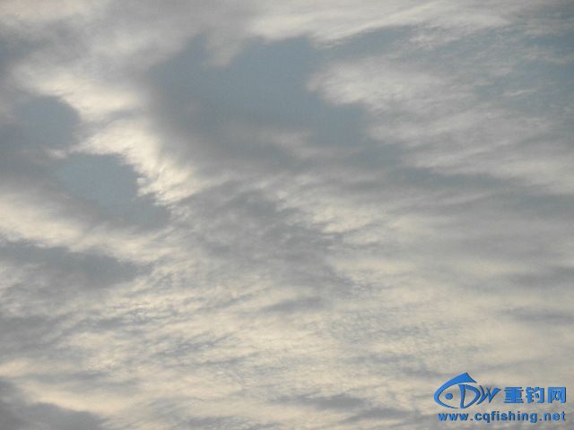 P1010094.JPG