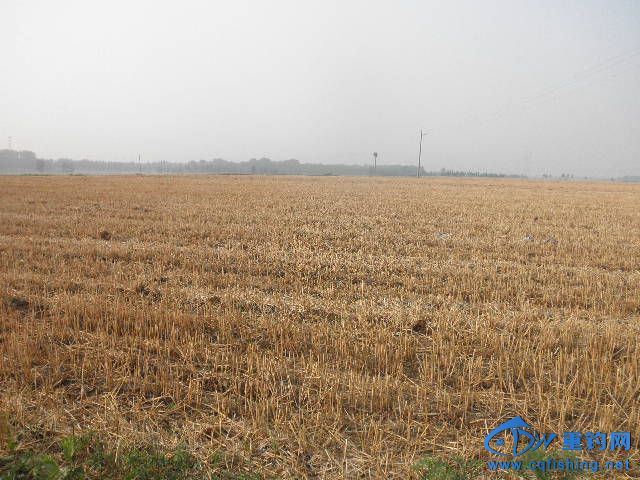 P1010260.JPG