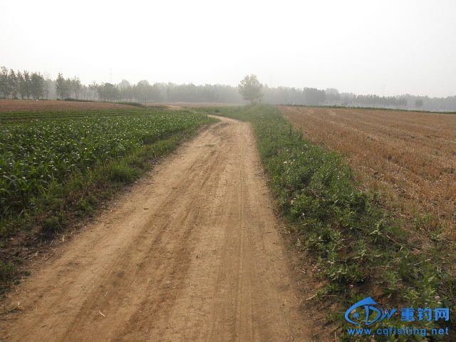 P1010262.JPG