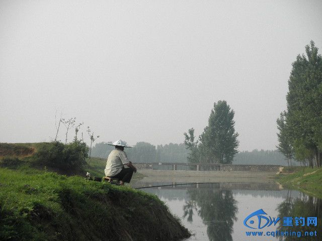 P1010265.JPG