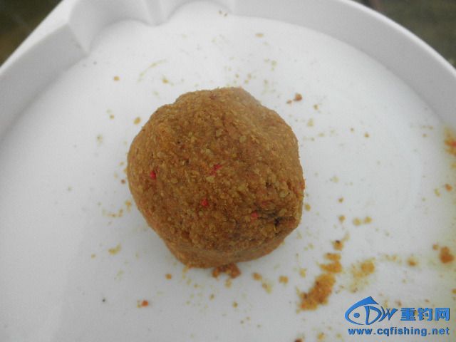 P1010266.JPG