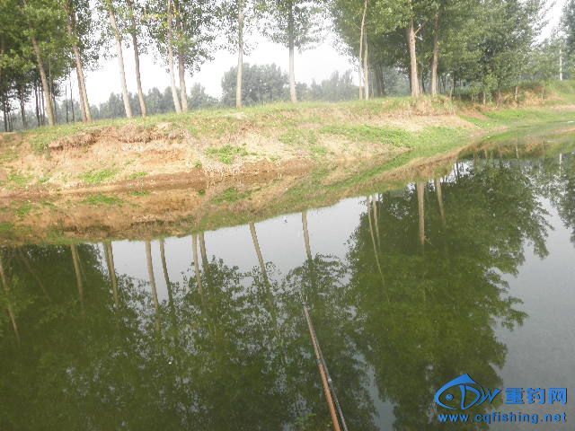 P1010268.JPG